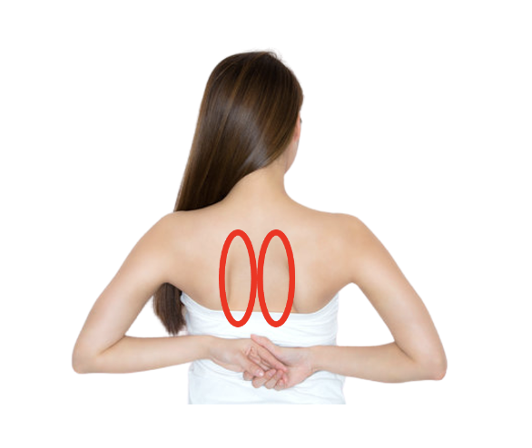 肩甲骨の内側に痛みがある時の原因は？何科に相談すればいい？