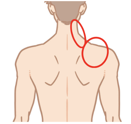 肩甲骨まわりの筋肉がピクピクする原因は？痙攣は危険信号かも？