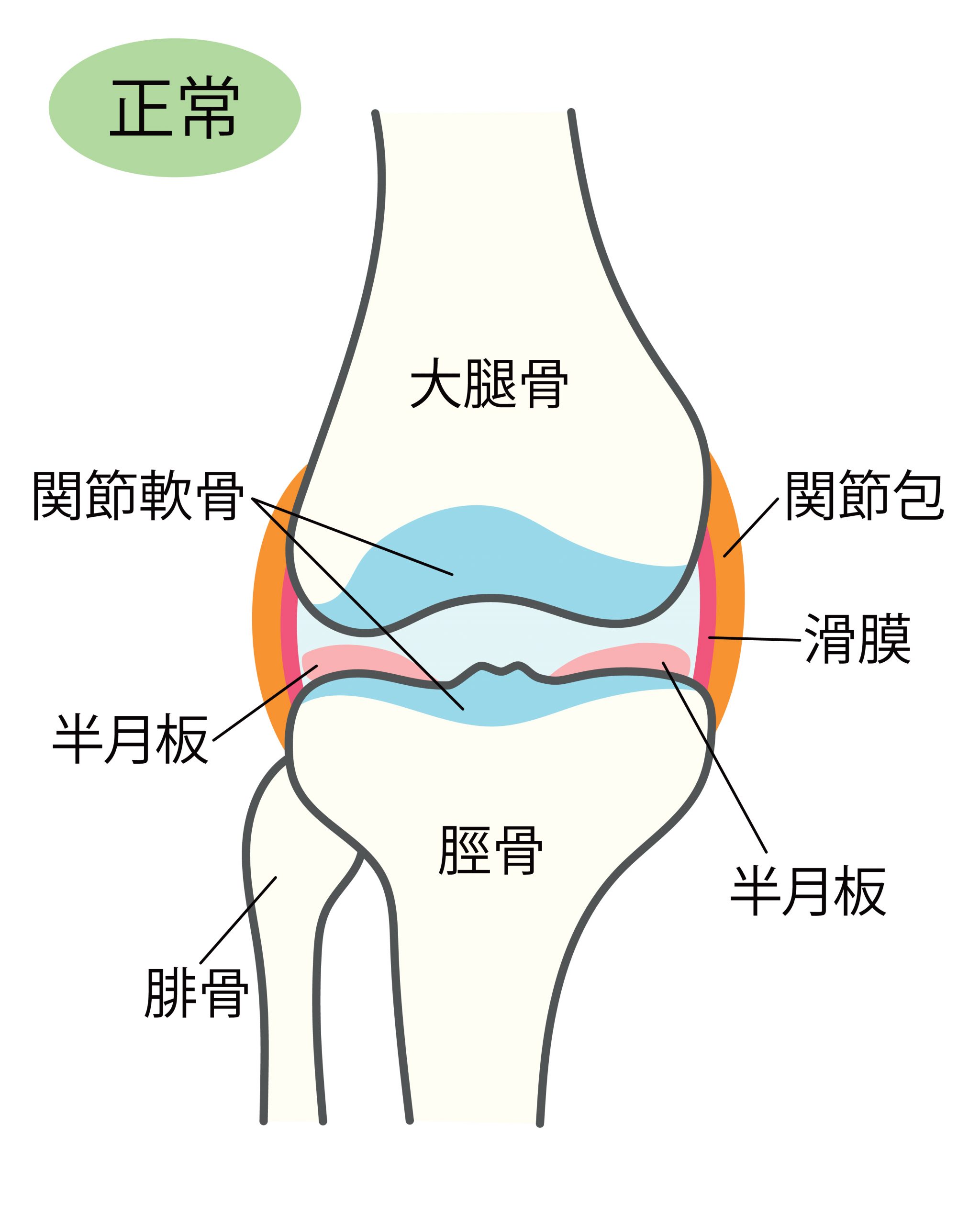 膝が痛い時のストレッチ3選！痛みの原因は膝の裏側にあった！？