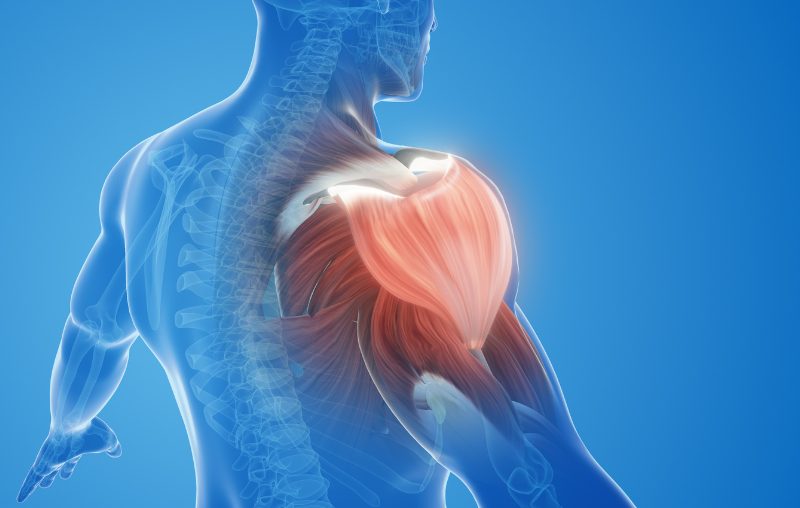 肩がパキッと鳴る原因を詳しく解説！痛い場合は要注意？
