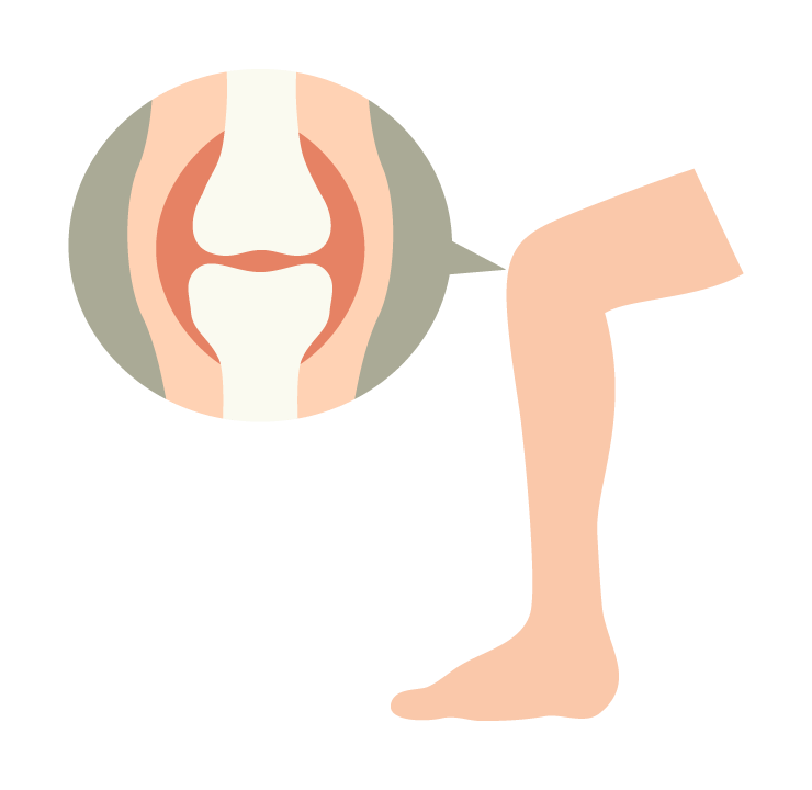 50代の膝は内側に痛みが出やすいってホント？詳しく解説します！