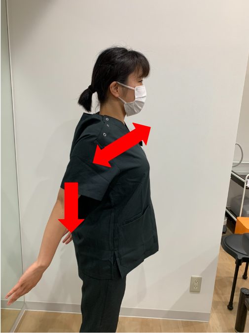 肩こりの原因は首・肩甲骨まわりの筋肉の疲労？P C作業の人要注意！