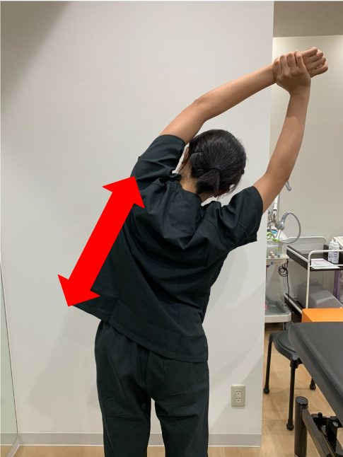 肩こりの原因は首・肩甲骨まわりの筋肉の疲労？P C作業の人要注意！