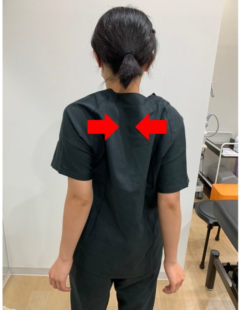 肩こりの原因は首・肩甲骨まわりの筋肉の疲労？P C作業の人要注意！