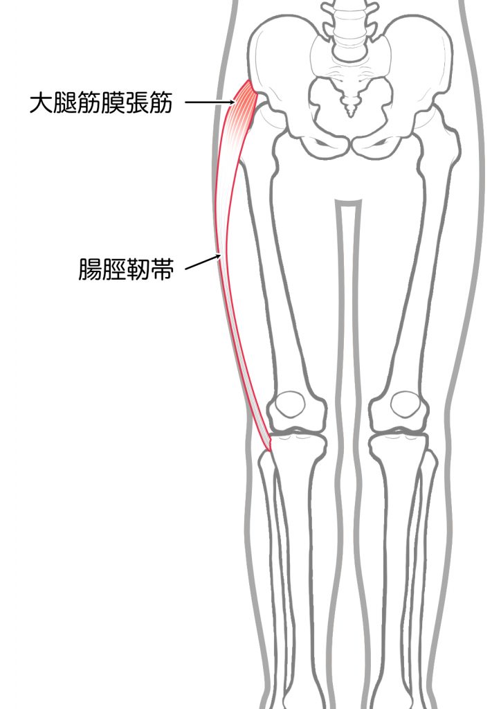膝の外側に刺すような痛みがある時の原因と治し方を徹底解説！！