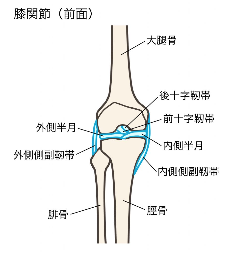 膝の外側に刺すような痛みがある時の原因と治し方を徹底解説！！