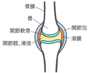 肩を回すと音が鳴る原因と解消法 - 簡単にできるストレッチと対策