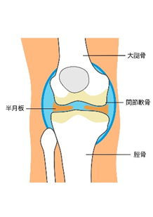 変形性膝関節症に効果的なストレッチ5選！簡単な運動から始めよう